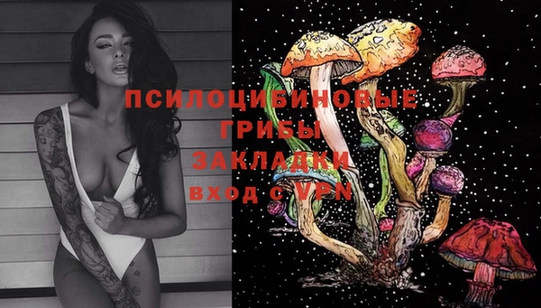 герыч Алексеевка