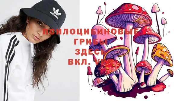 бошки Алзамай